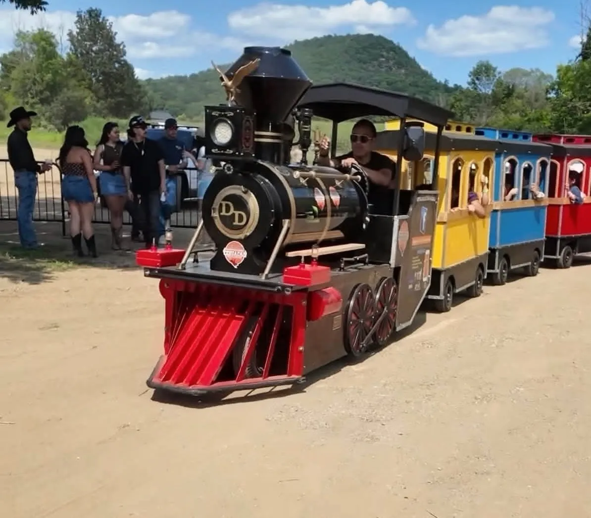 Tren eléctrico sin rieles - Imagen 4